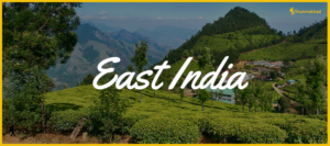 Read more about the article Tour to East India